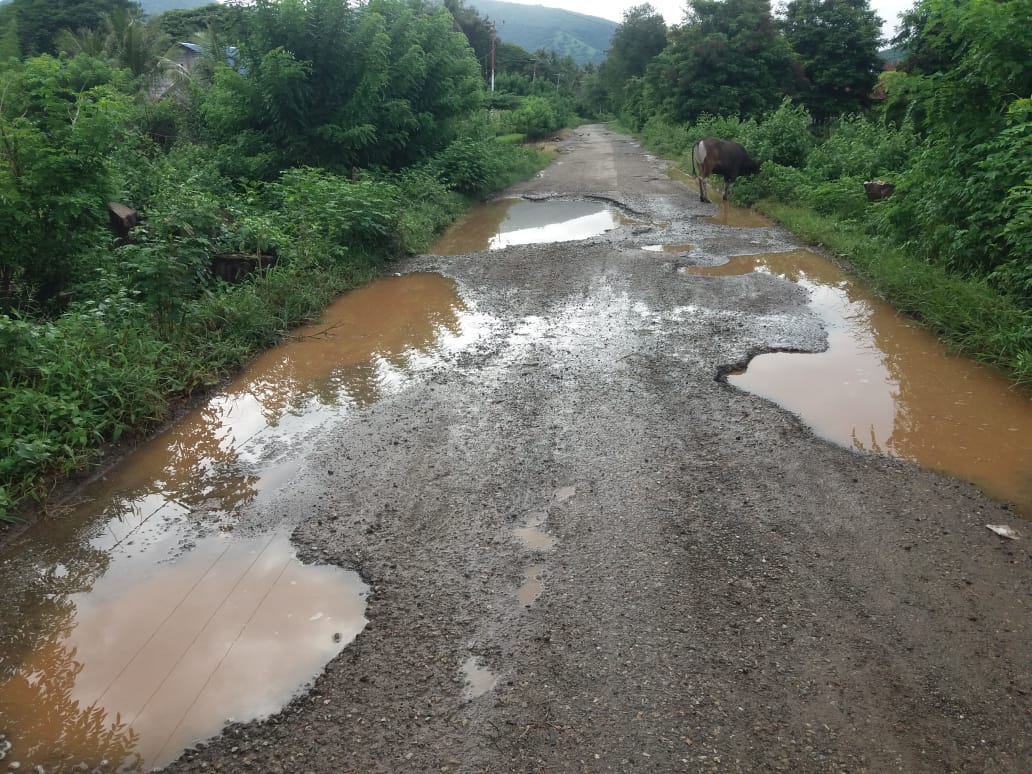 https://fajarntt.com/2021/02/14/jalan-provinsi-menuju-pulau-riung-rusak-parah-warga-butuh-perhatian-pemprov-ntt/ jalan