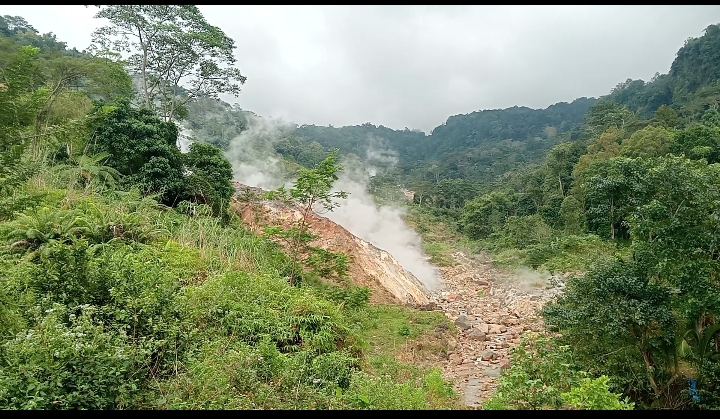 Pemandangan disekitar kawah ulumbu yang ditumbuhi ribuan pohon dan tanaman yang tumbuh subur