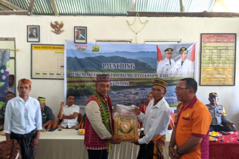 Hery Nabit