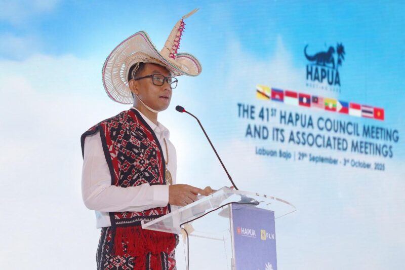 ASEAN Power Grid